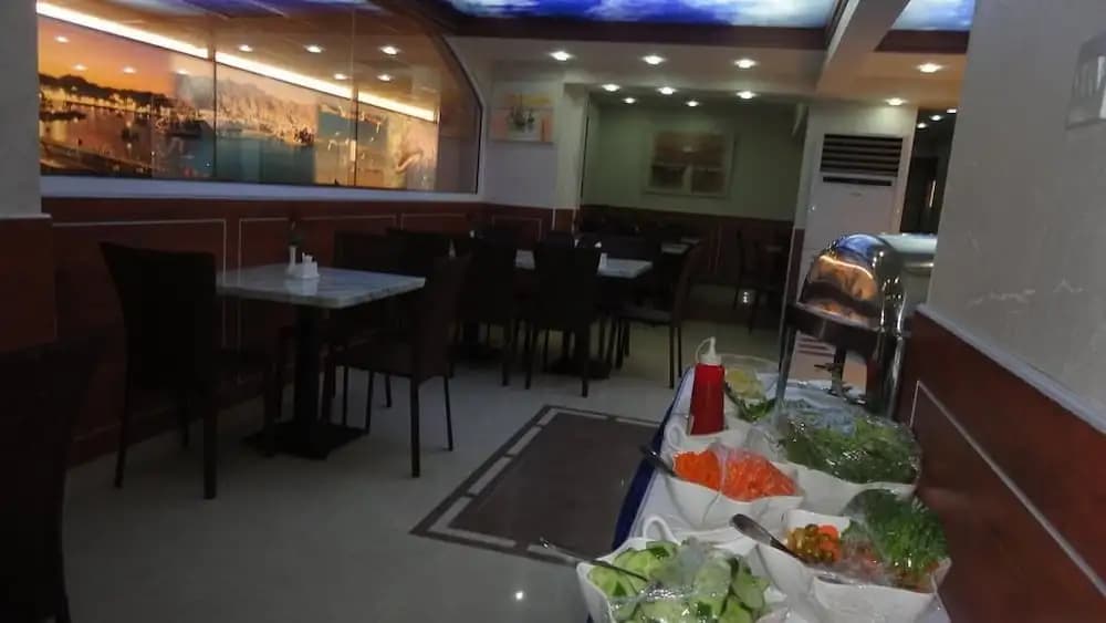 Dolphin Hotel - photo 14