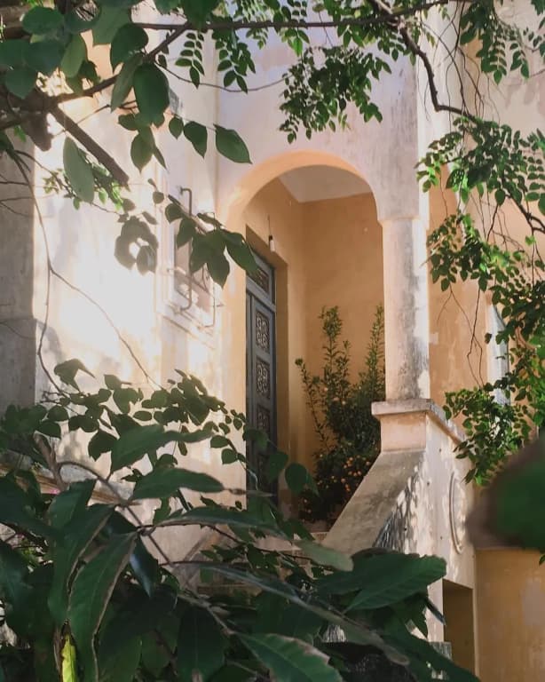 Monstera House - photo 4