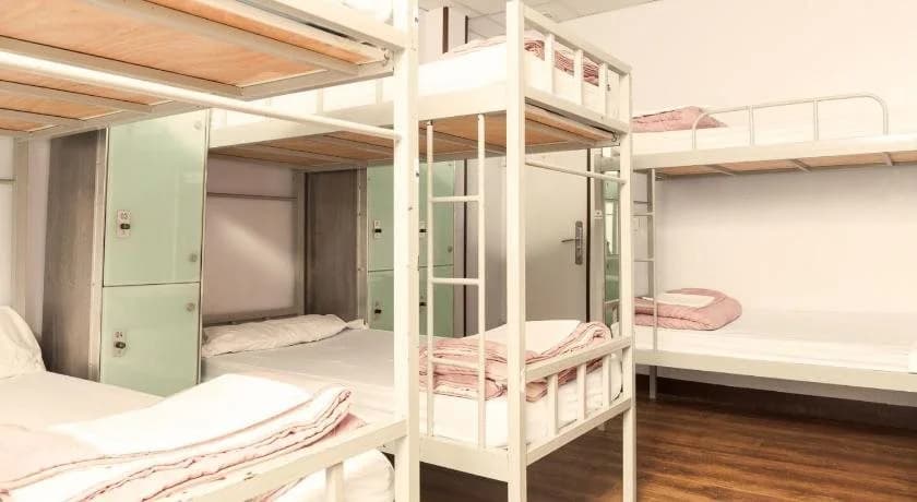 Cat's Hostel - photo 4