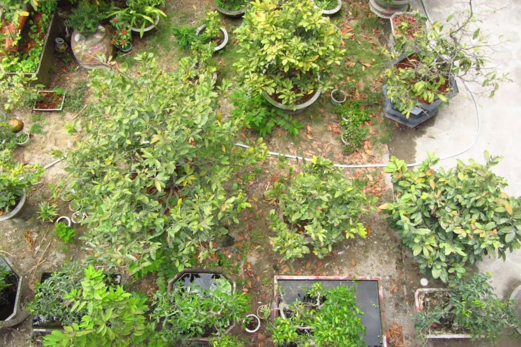 Charming Homestay - photo 15