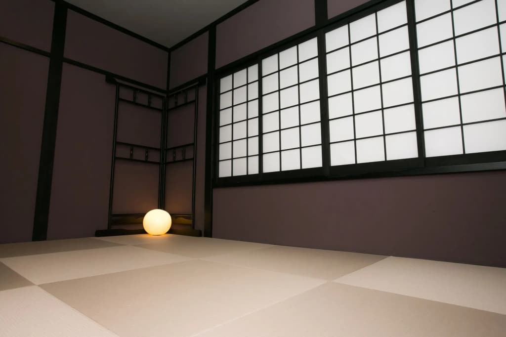 Hosta Umekoji Miyabi - photo 17