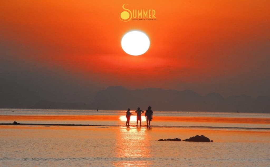 Summer Luxury Beach Resort and Spa - photo 22