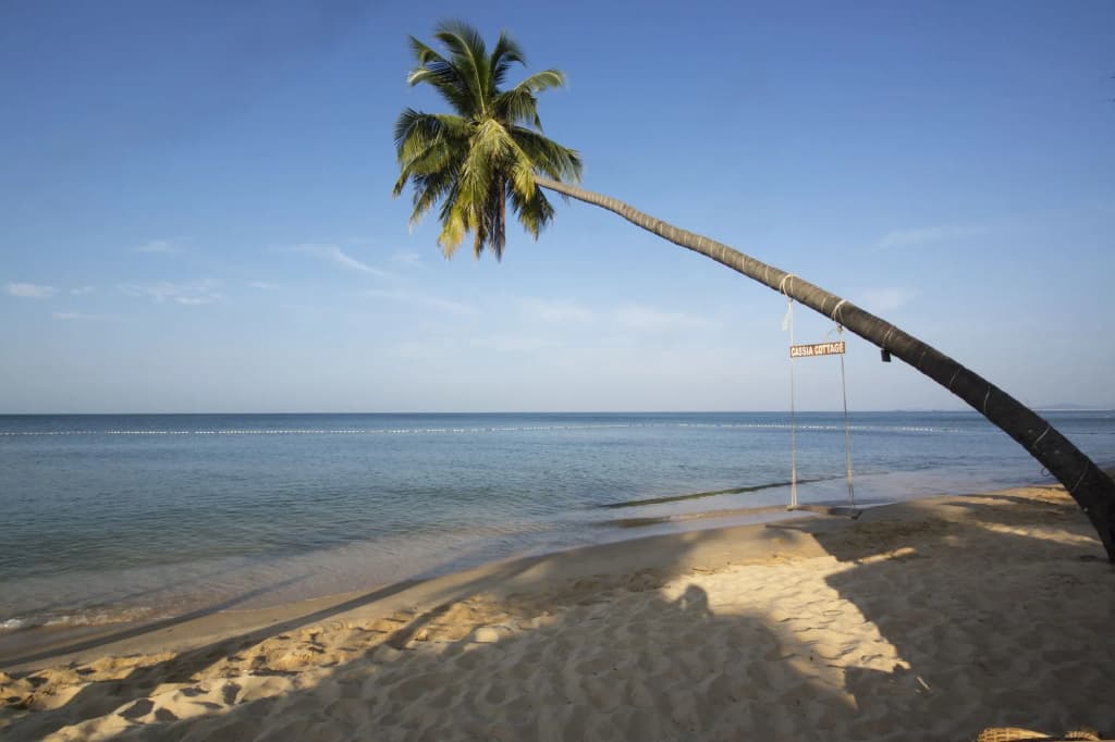 Cassia Cottage Resort and Spa - photo 20