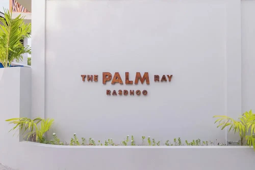 The Palm Ray - photo 21