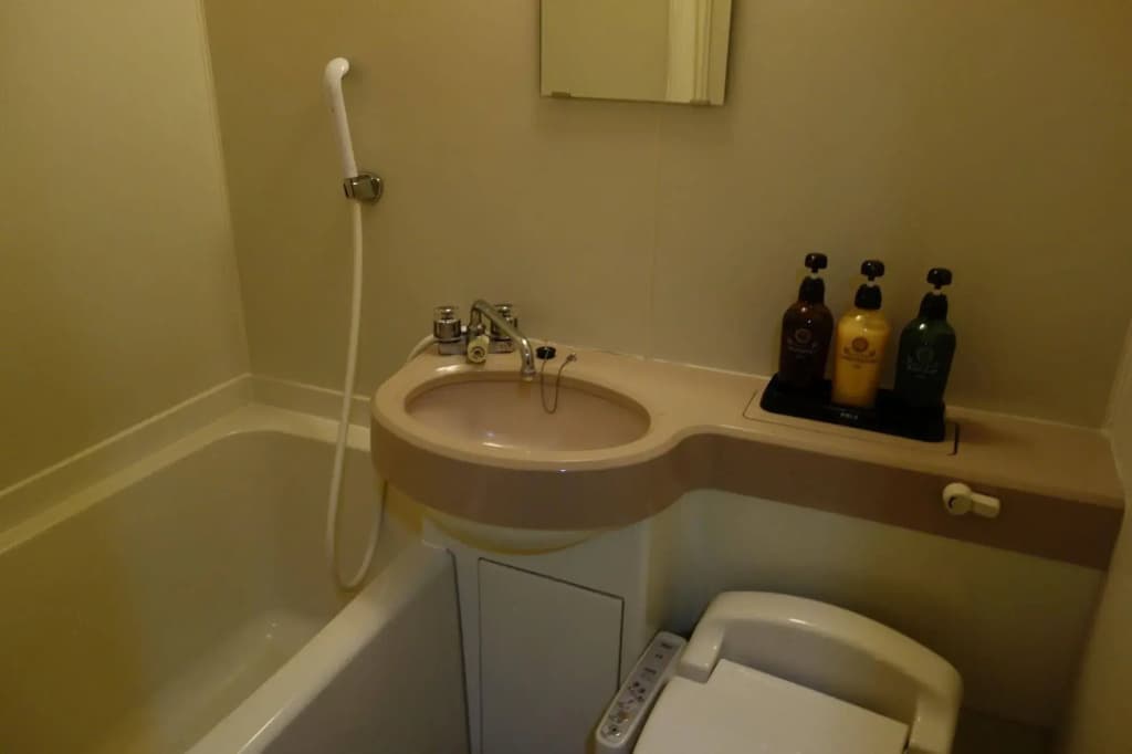 Dormy Inn Express Asakusa Hot Spring - photo 10