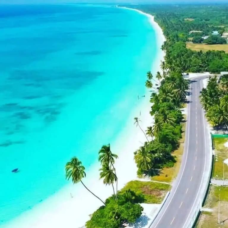 LongBeach Laamu - photo 31