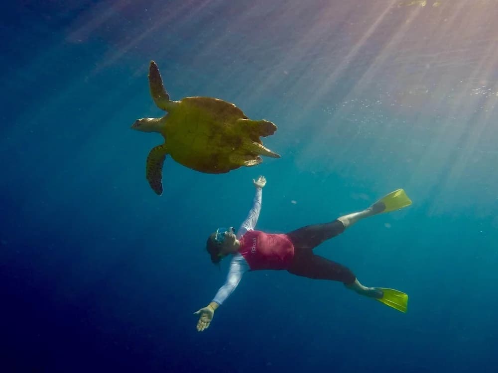 Suffix Retreat - Stay, Dive & Explore Fuvahmulah - photo 23