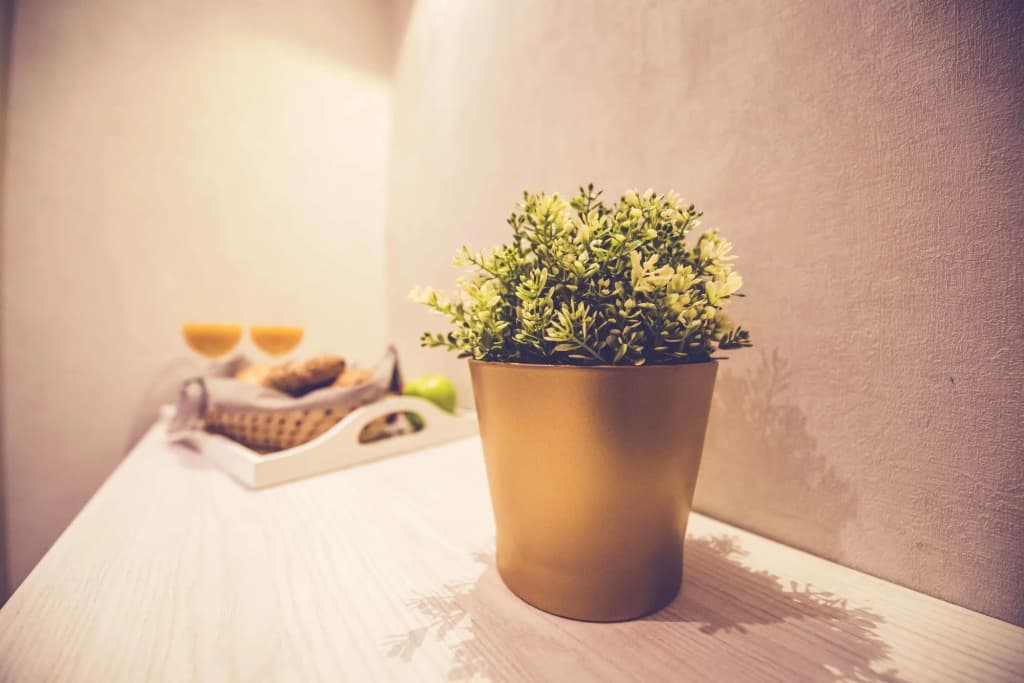 Hostal Lisboa - photo 11