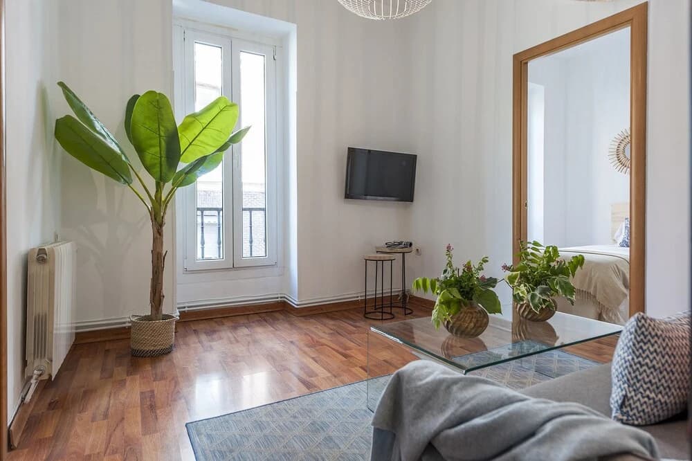 Apartamento Catedral de la Almudena II - photo 13