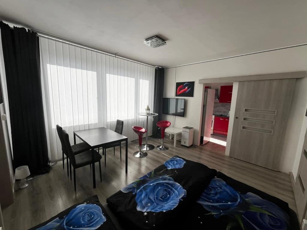 MONFas APARTMENT BARRANDOV - photo 3