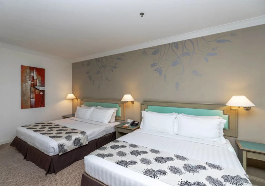 Regalodge Hotel & Spa - photo 5