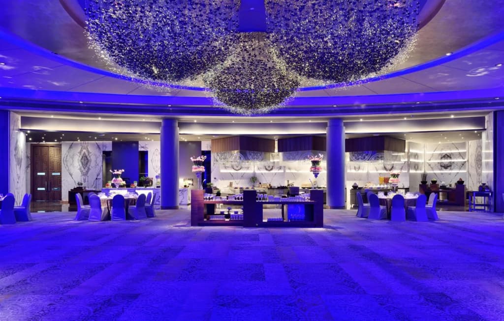 Hyatt Regency Delhi - photo 33