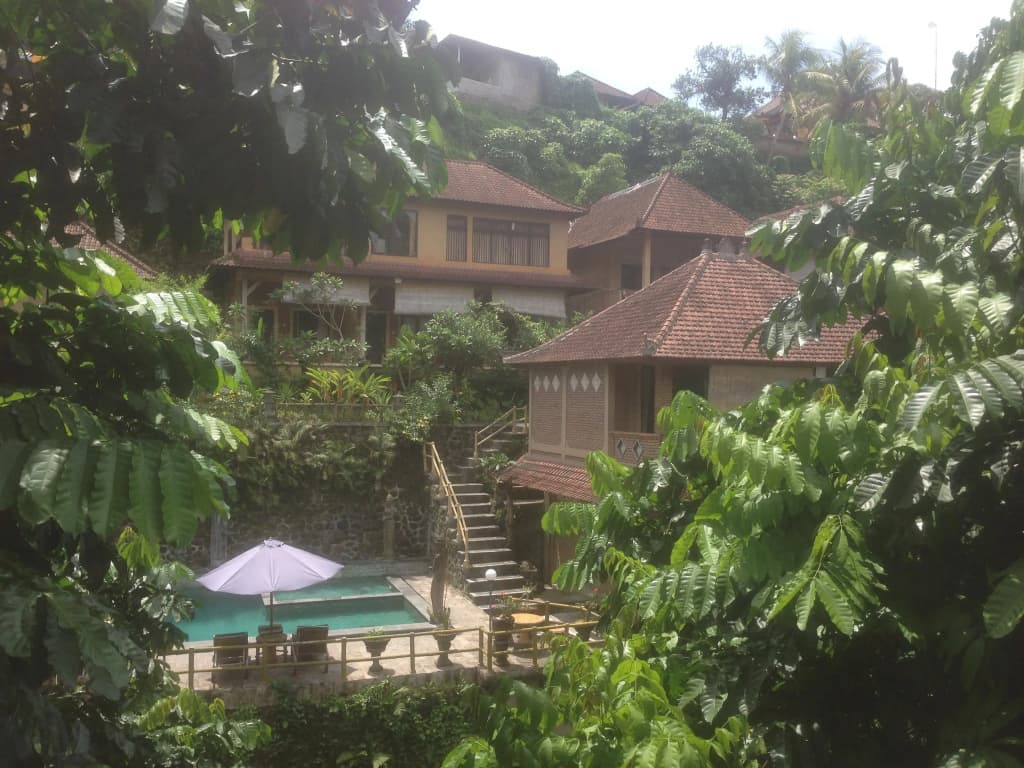 Ani's Villas - photo 7