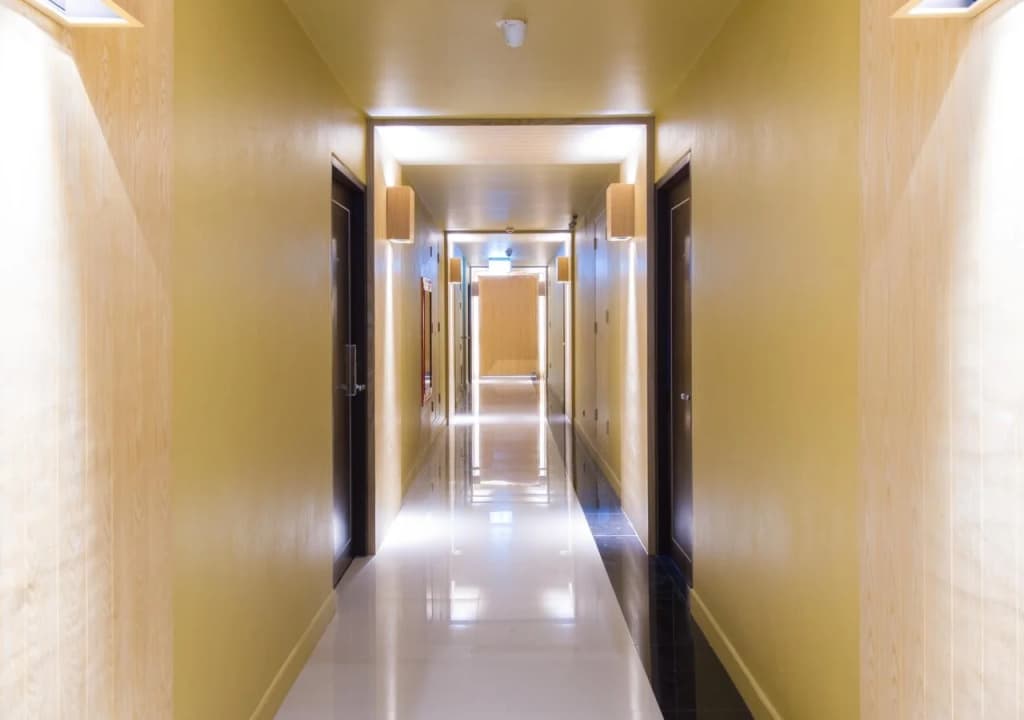 Zenniq - photo 16