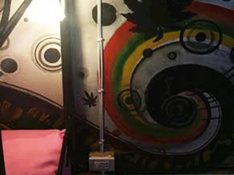 The Moatview Guesthouse - photo 15