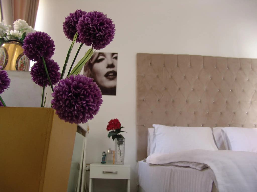 Velvet Hotel - photo 2