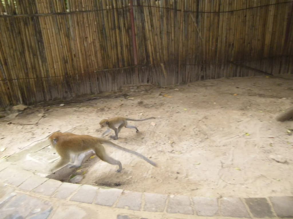 Diamond Cave Resort - photo 26
