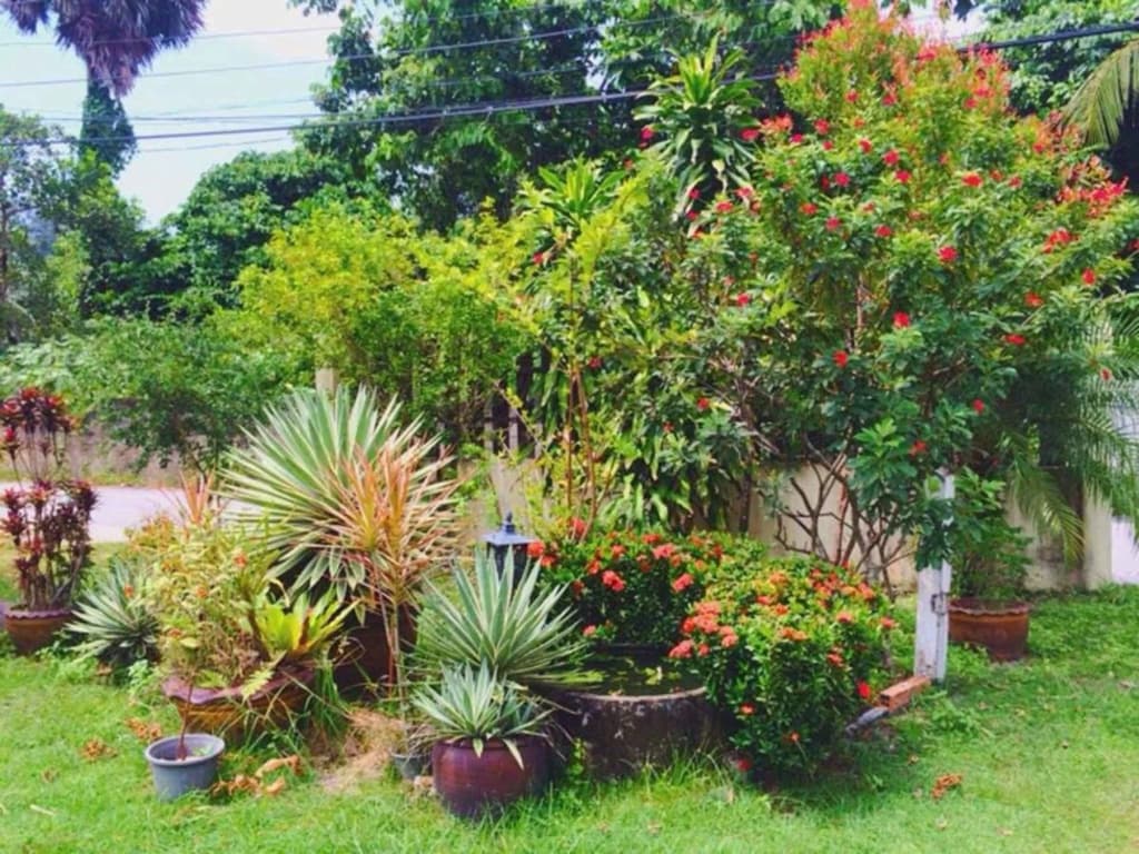 Ron's Bungalow - photo 11