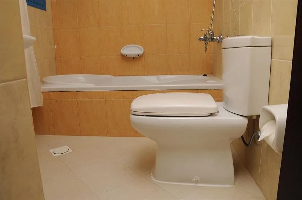 Raynor Hotel Apartments - photo 8