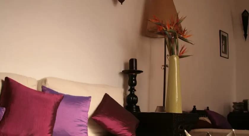 Riad Habiba - photo 5