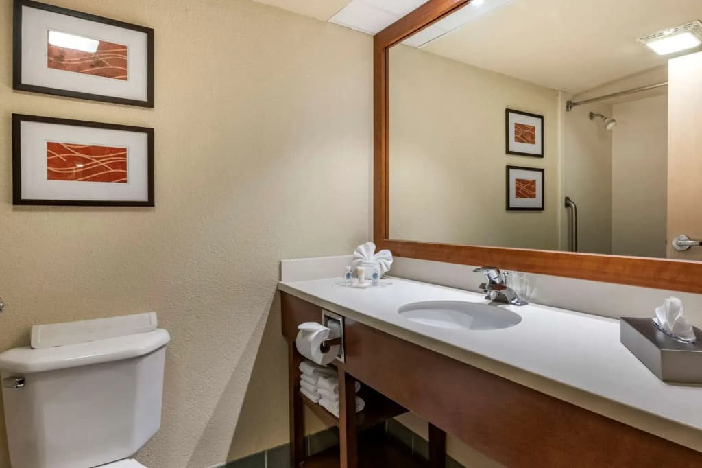 Comfort Suites Miami - Kendall - photo 9