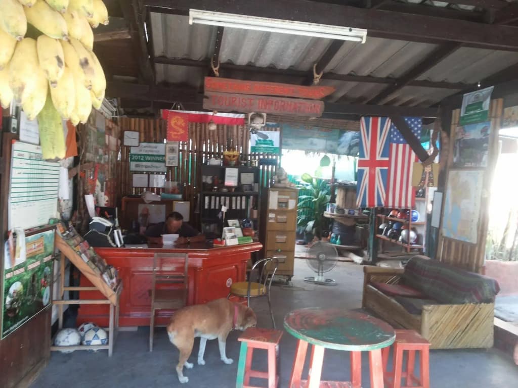 SDT Home - photo 8