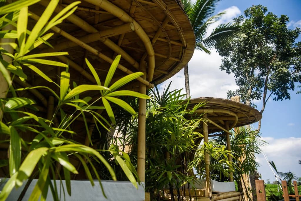 Kappa Senses Ubud Hotel - photo 42