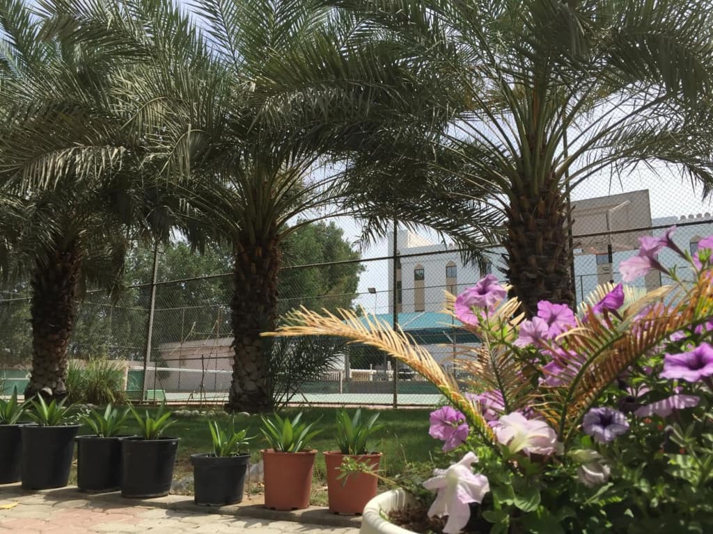 Hotel Al Madinah Holiday - photo 38