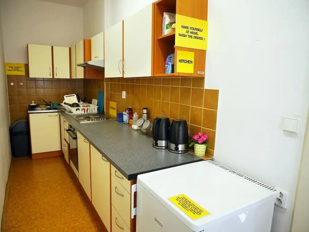 Dizzy Daisy Hostel - photo 10