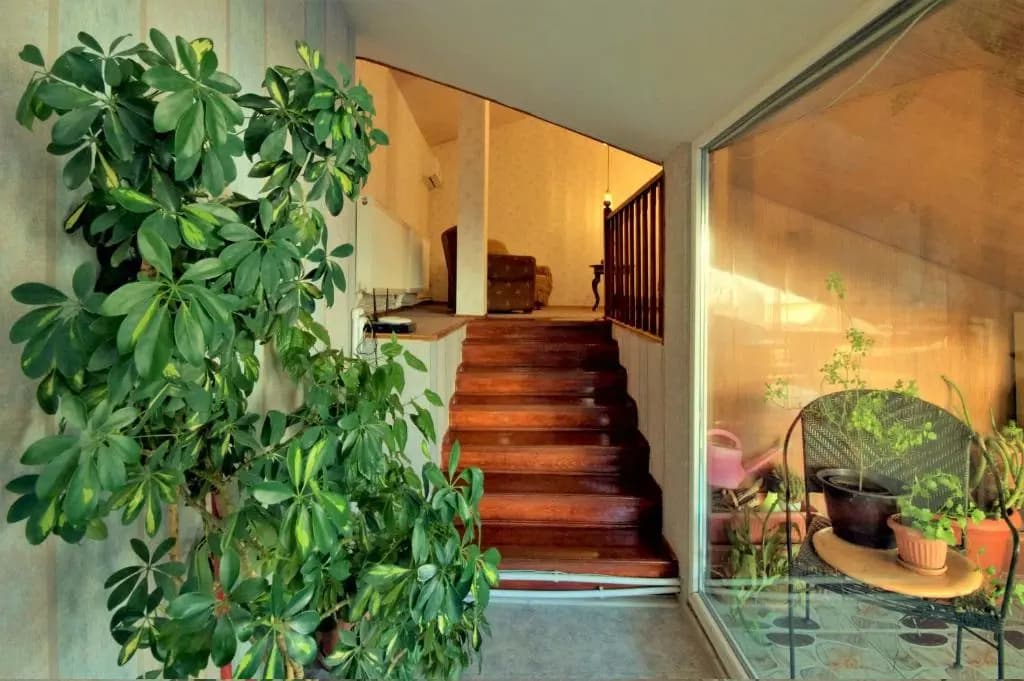 Bfg Suites Leselidze - photo 14
