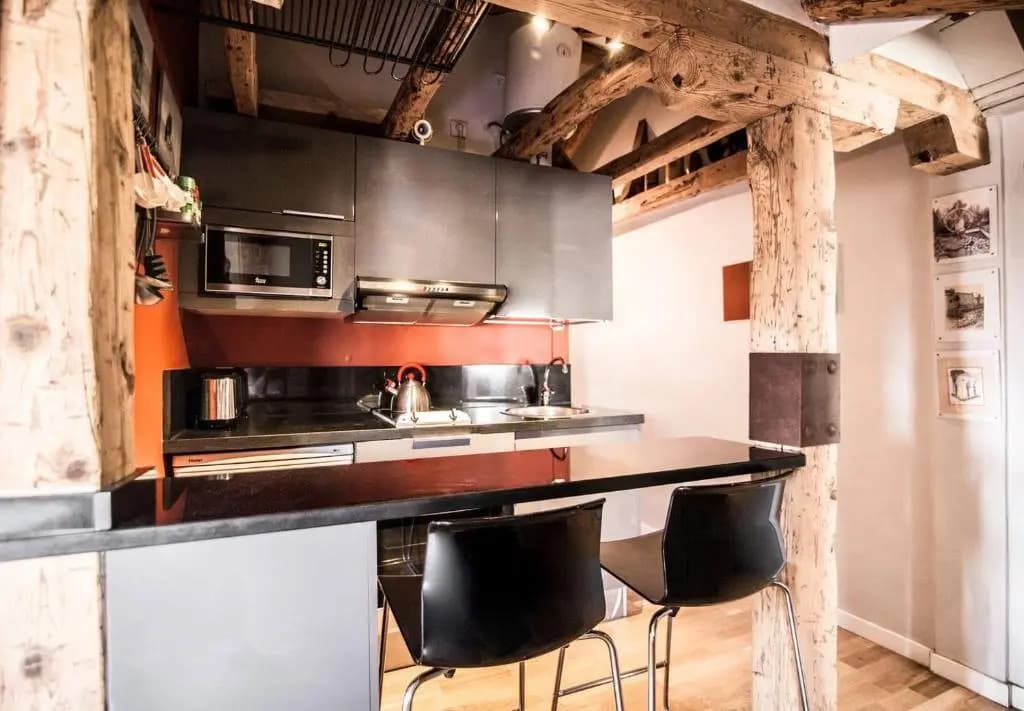 ATOCHA SKI PENTHOUSE STUDIO with views - photo 11