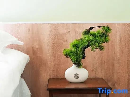 Brand New 80㎡ House in Osaka | Switch + Terrace - photo 5