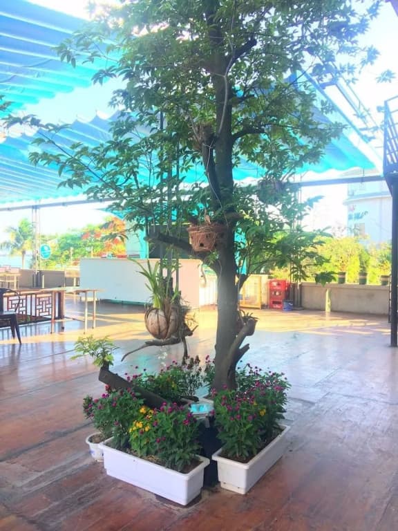 Bamboo Hotel & Apartments - Hostel - photo 9