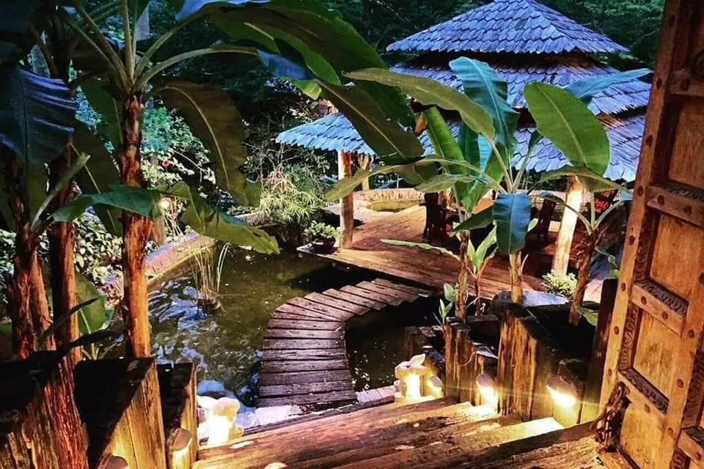 Fig Tree Hills Resort - photo 30