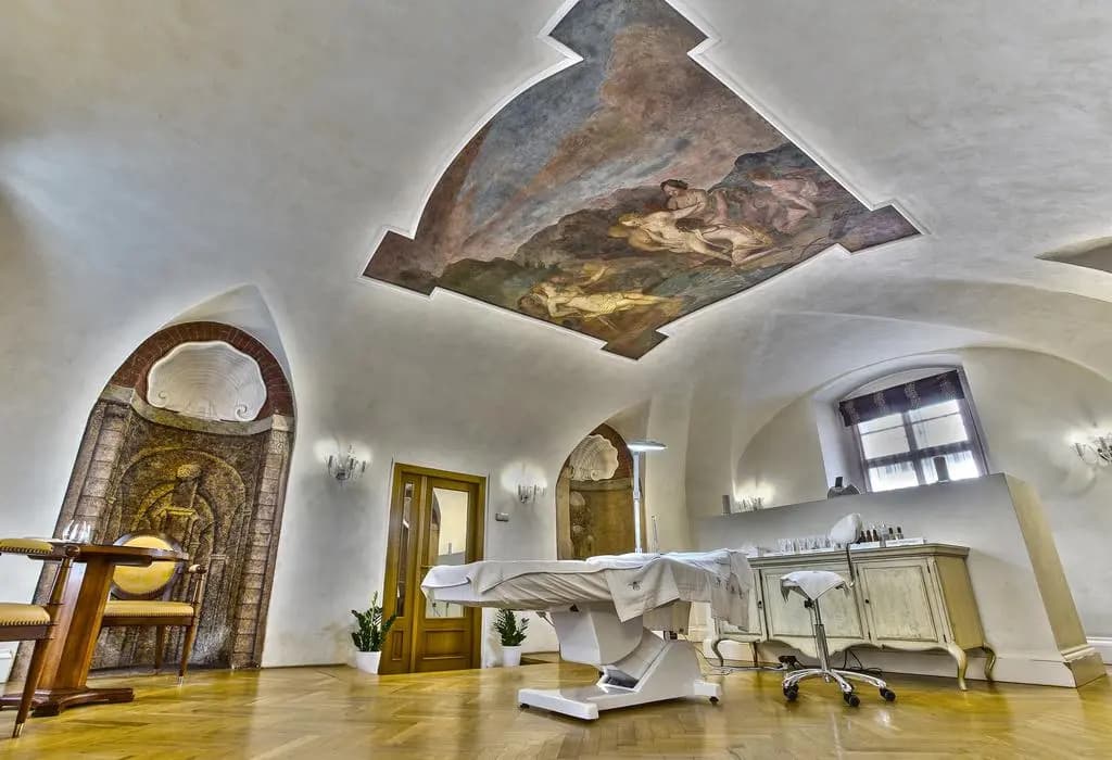 Smetana Hotel - photo 19