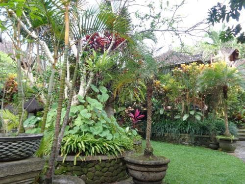 Klub Kokos Bungalows - photo 7