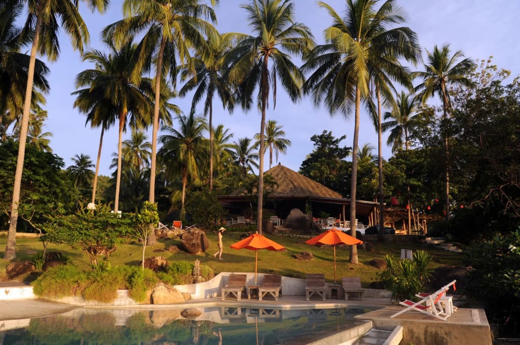 The Jungle Club - photo 16