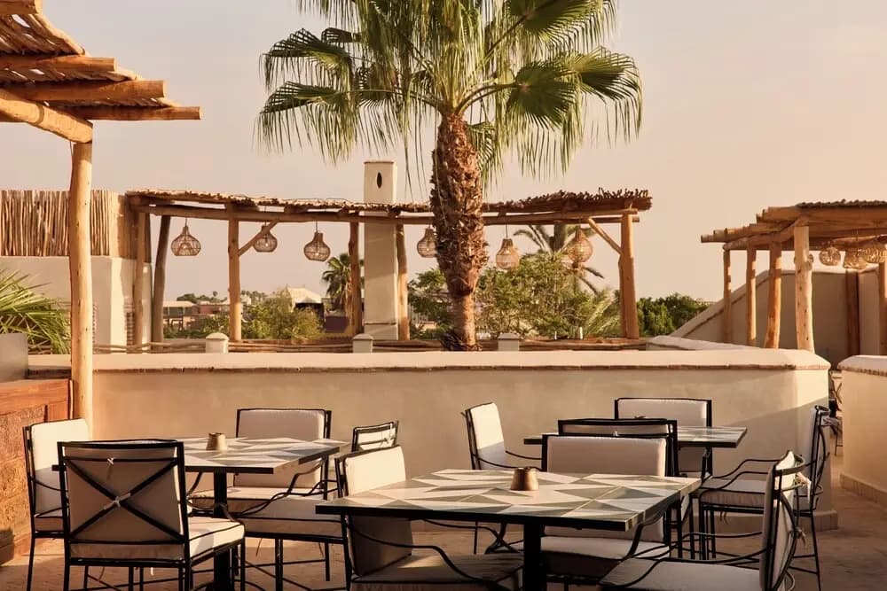 Nobu Riad - photo 12