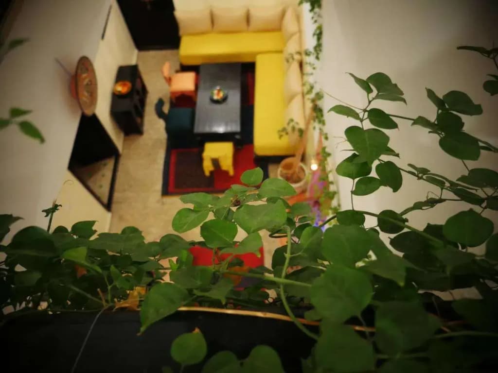Riad Sardinas & Chili - photo 24