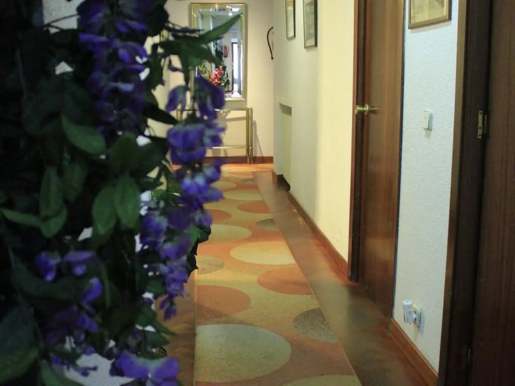 Hostal Esmeralda - photo 14