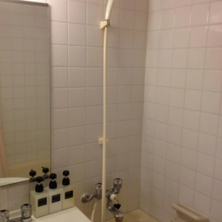 Hotel Horidome Villa - photo 10