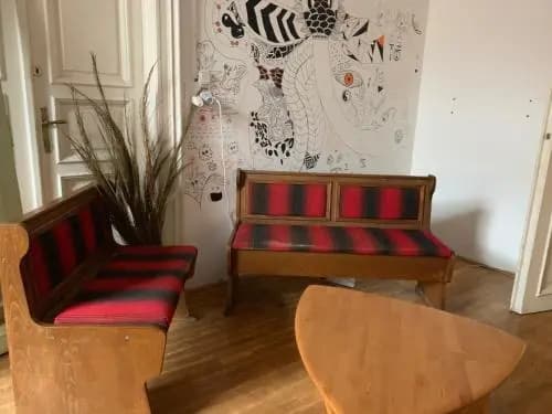 Black Dog Hostel - photo 10