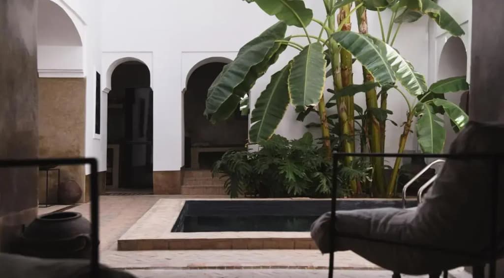 Riad Zahr - photo 9
