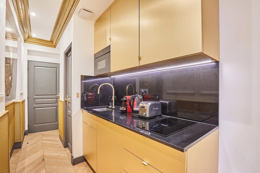Superbe Flat With AC Champs Elysees Av Montaigne - photo 11