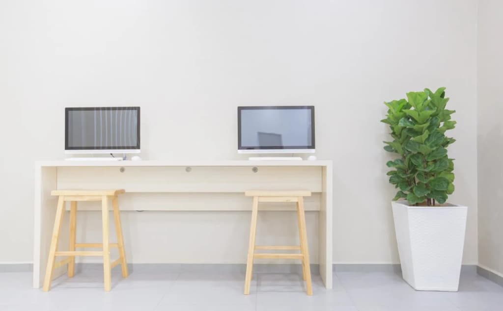 Minimalist Hotel - photo 12