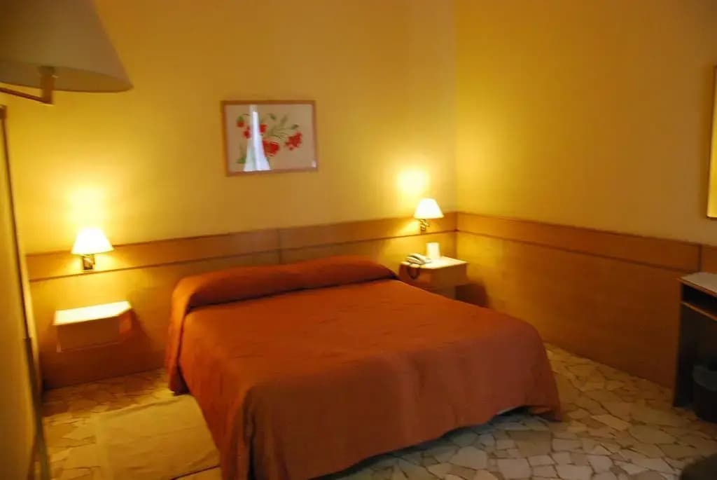 Garibaldi Palace Hotel - photo 3