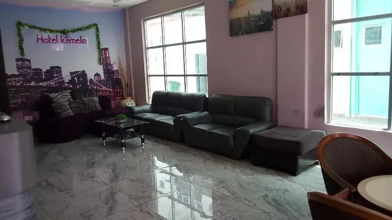 Hotel Kamelia - photo 2