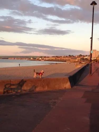 Edinburgh Seaside Apartment - photo 7
