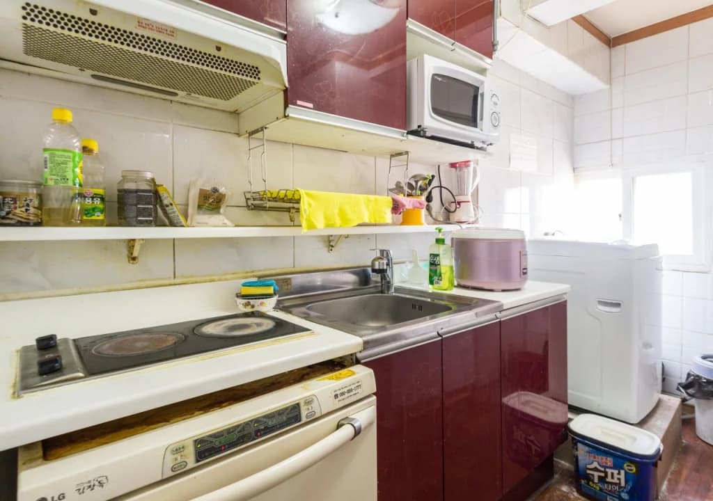 Coco Livingtel - photo 13