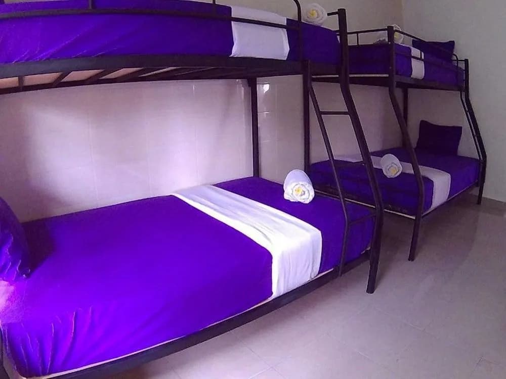 Twenty4Seven Bed & Breakfast - photo 3